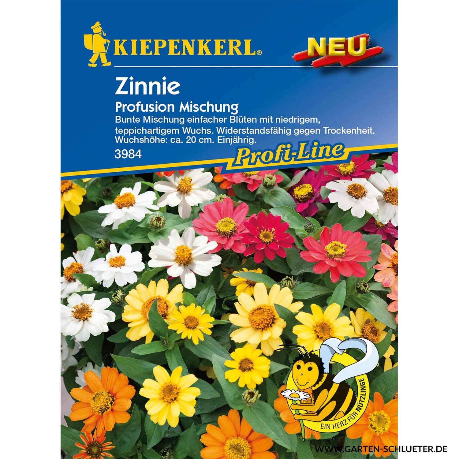 Zinnie 'Profusion Mischung