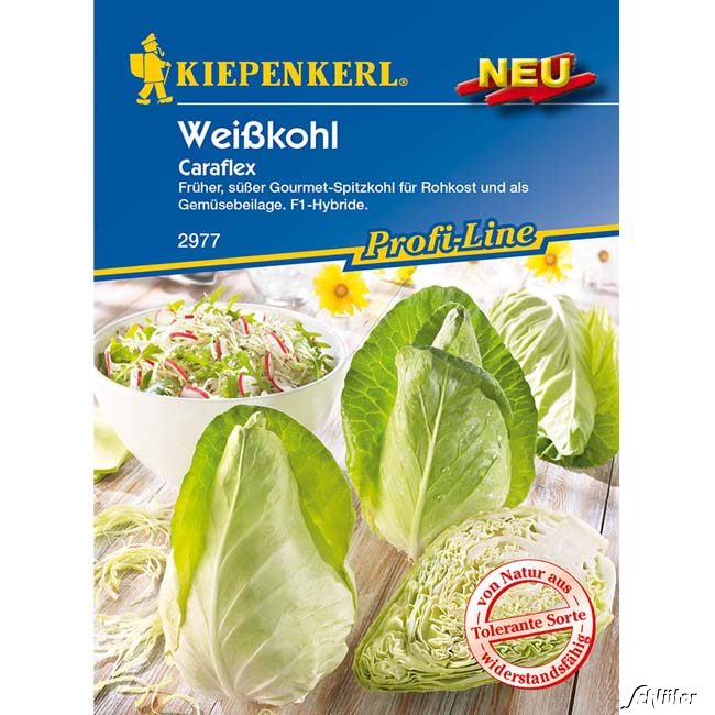 Weißkohl 'Caraflex'