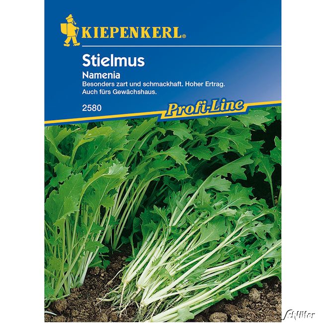 Stielmus/Rübstiel 'Namenia'