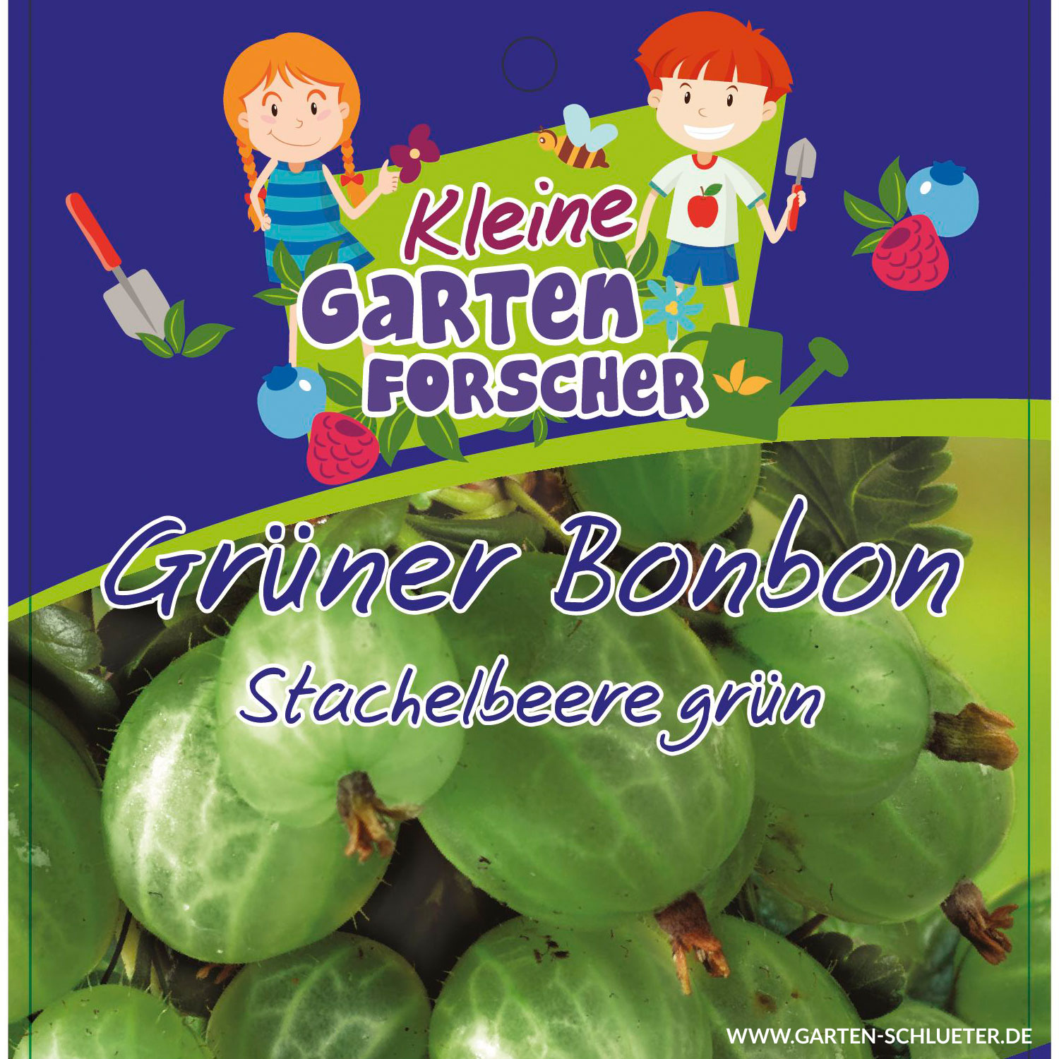 Grüne Stachelbeere 'Grüner Bonbon' Kleine Gartenforscher