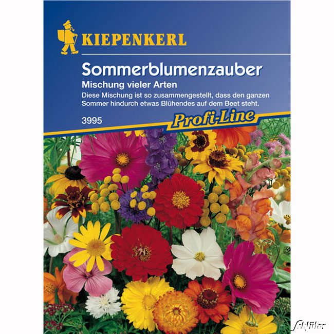 Sommerblumen-Zauber