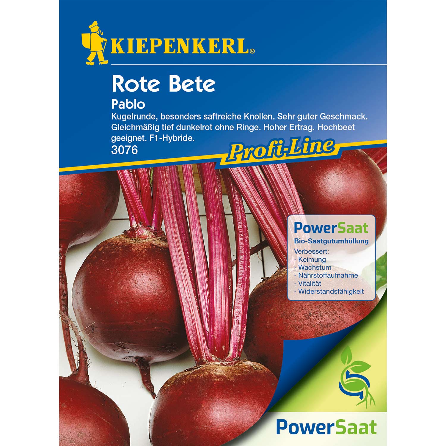 Rote Beete 'Pablo'