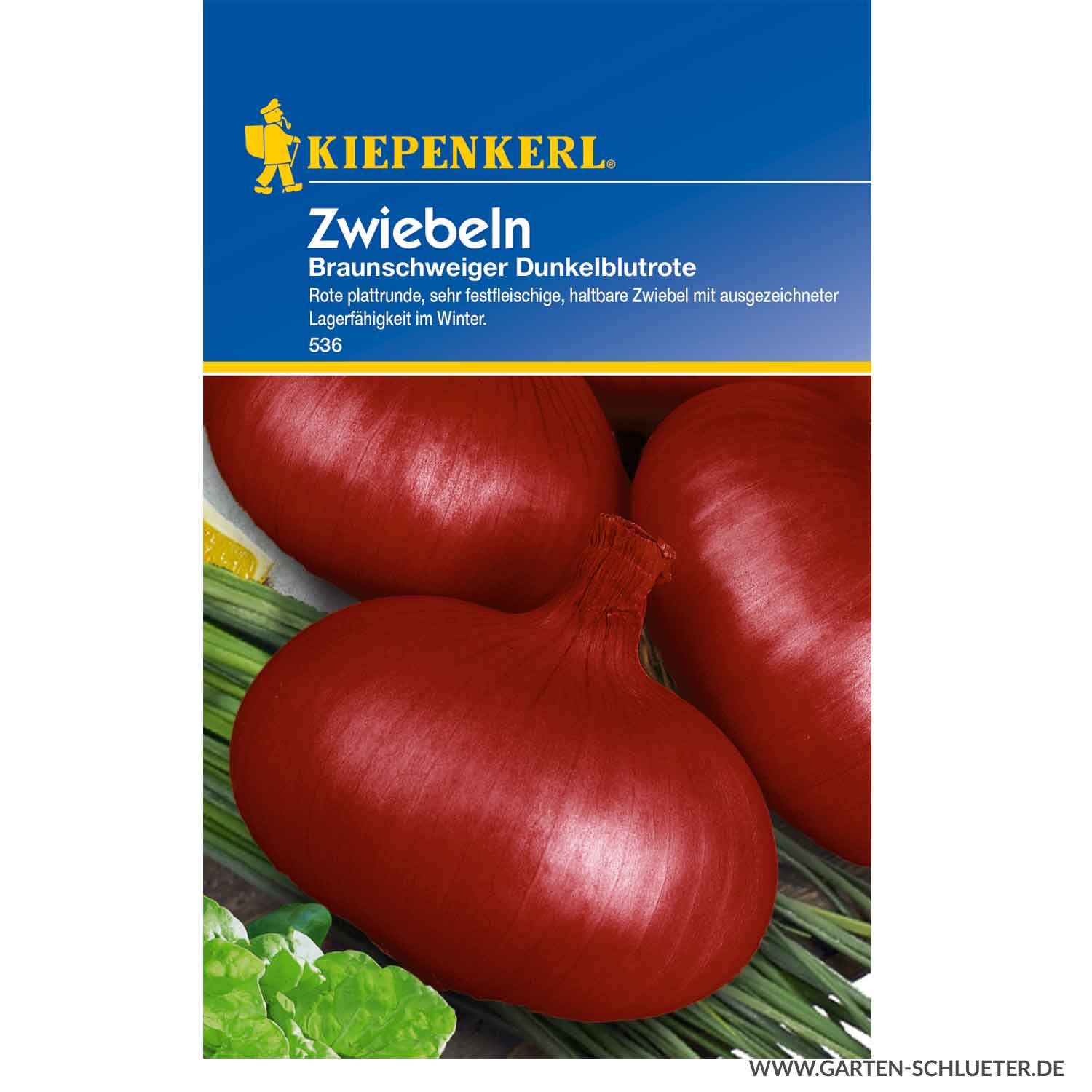 Zwiebeln Braunschweiger dunkelrote/De Brunswick