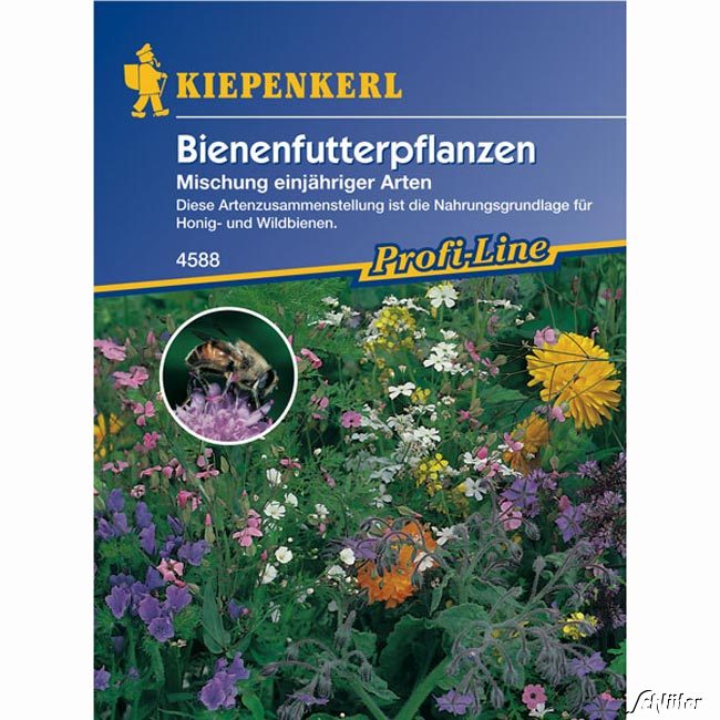 Bienenfutterpflanzen 'Mischung einjähriger Arten'