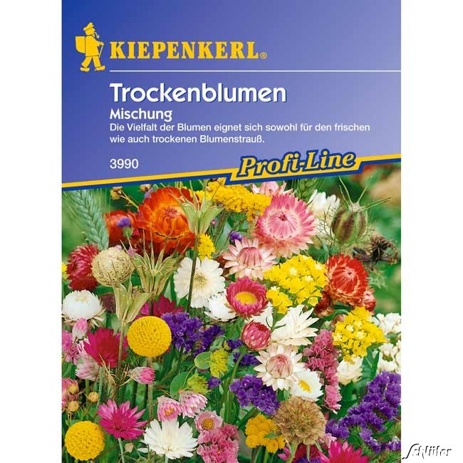 Trockenblumen-Mischung