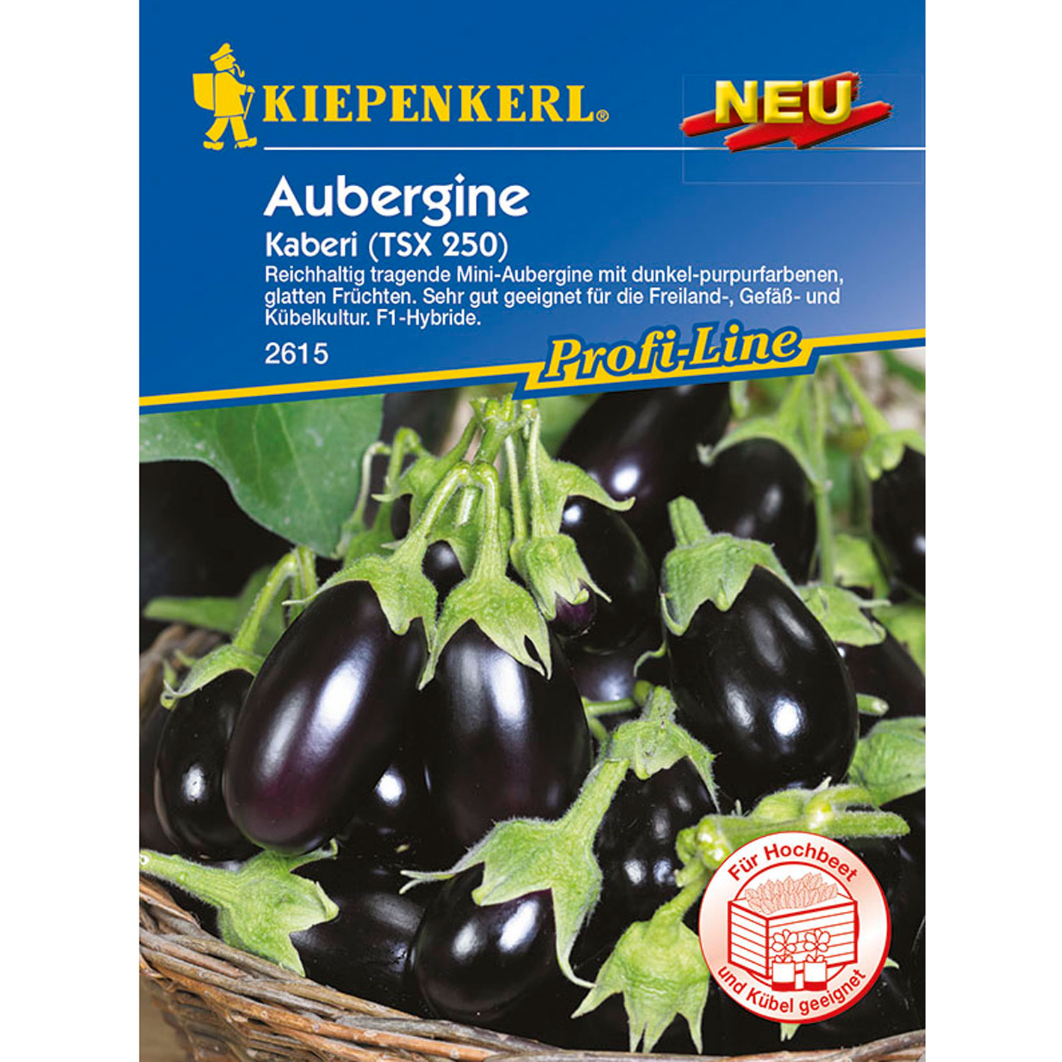 Aubergine 'Kaberi'