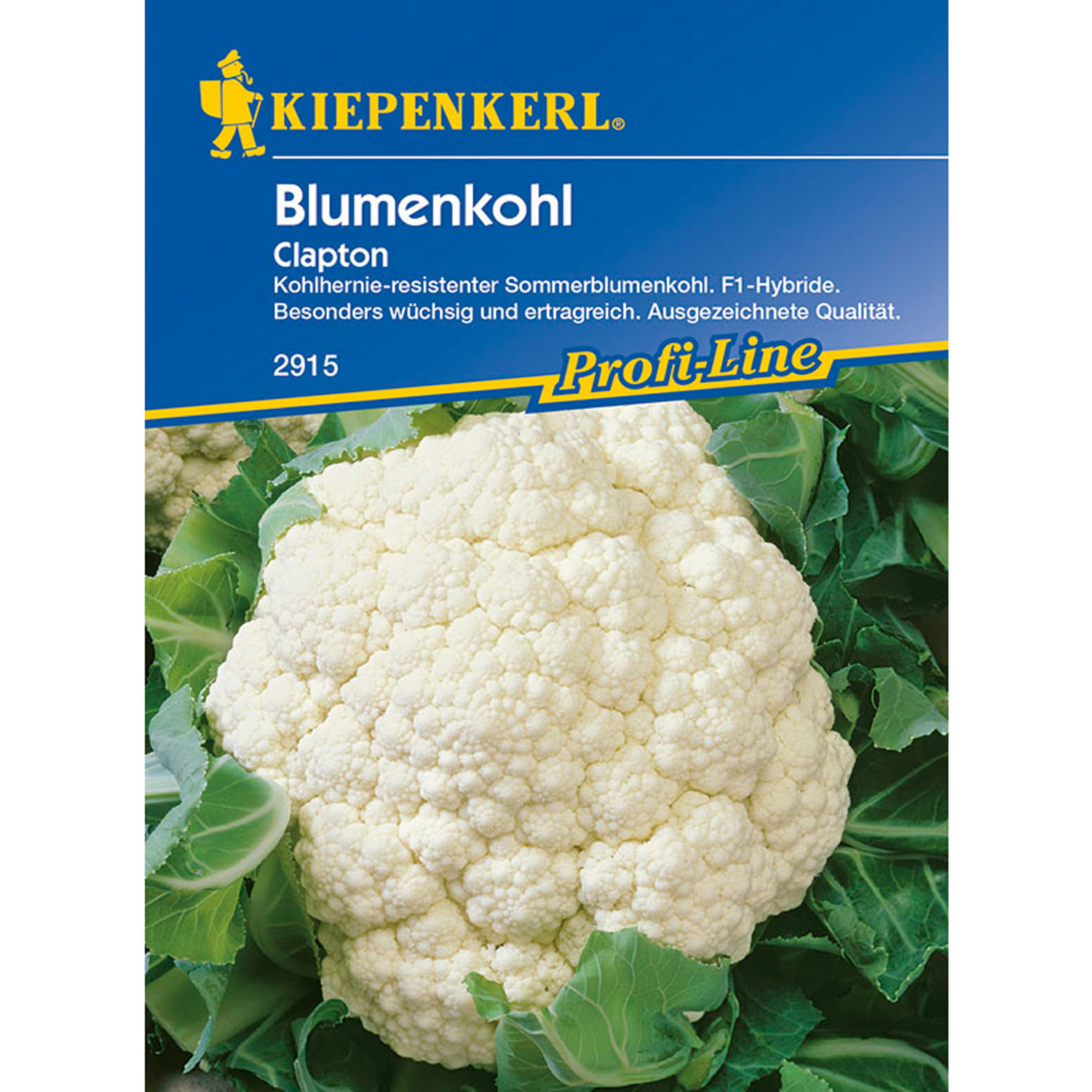 Blumenkohl 'Clapton'