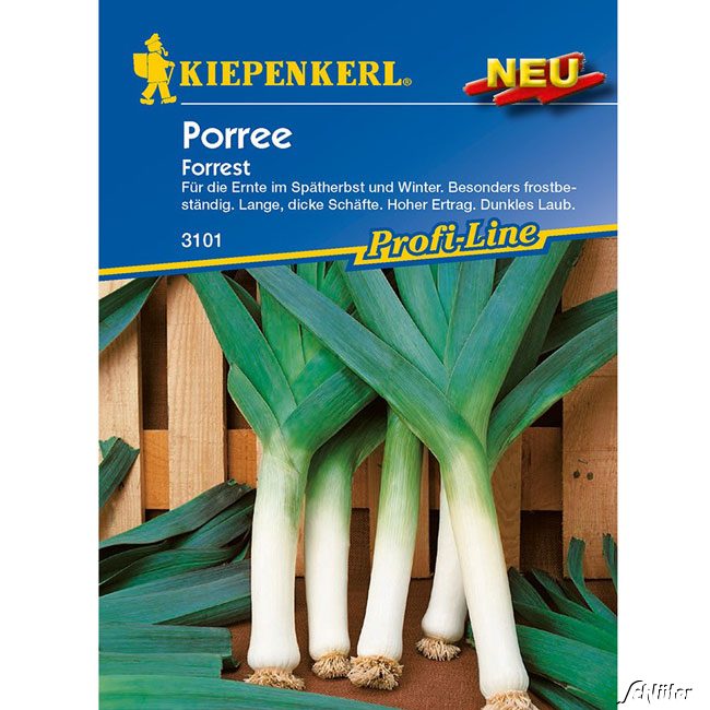 Porree 'Forrest'