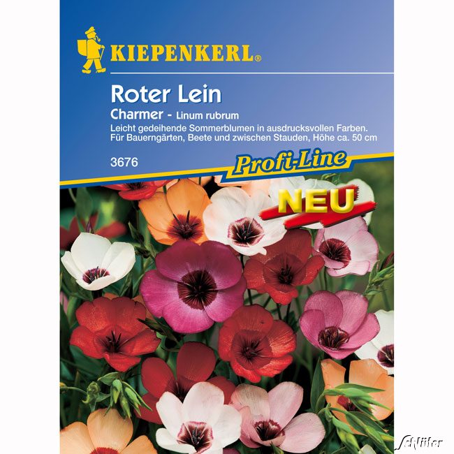 Roter Lein 'Charmer'