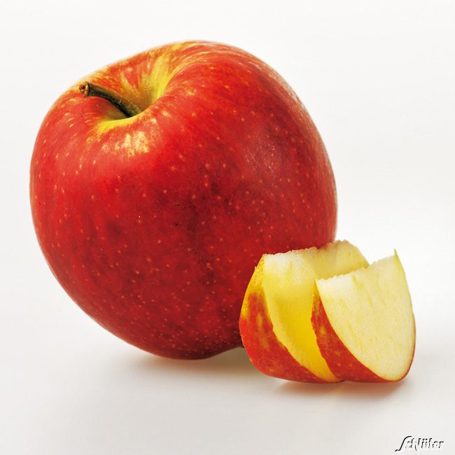 Apfelbusch 'Jonagold' Winterapfel