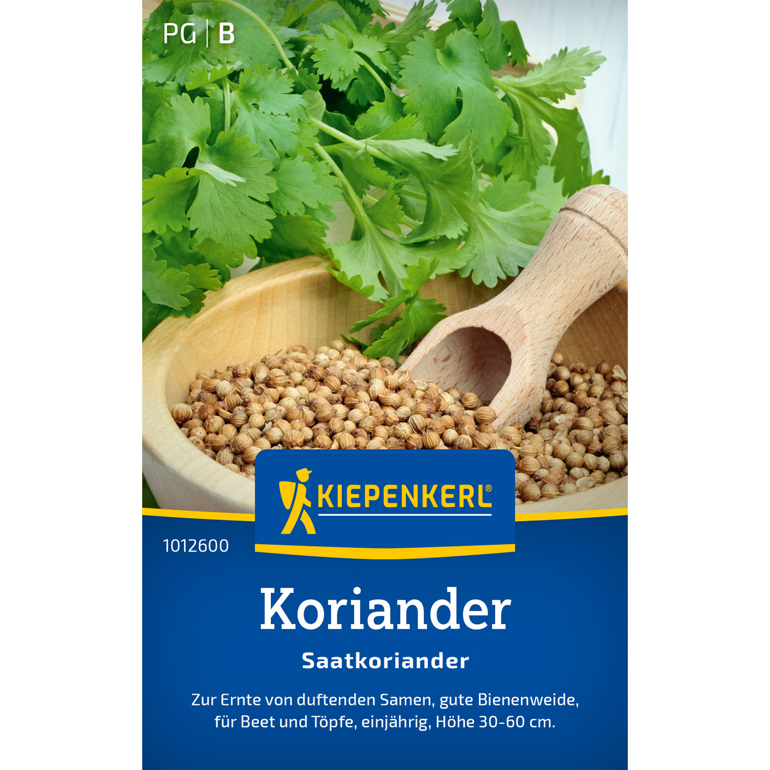 Koriander