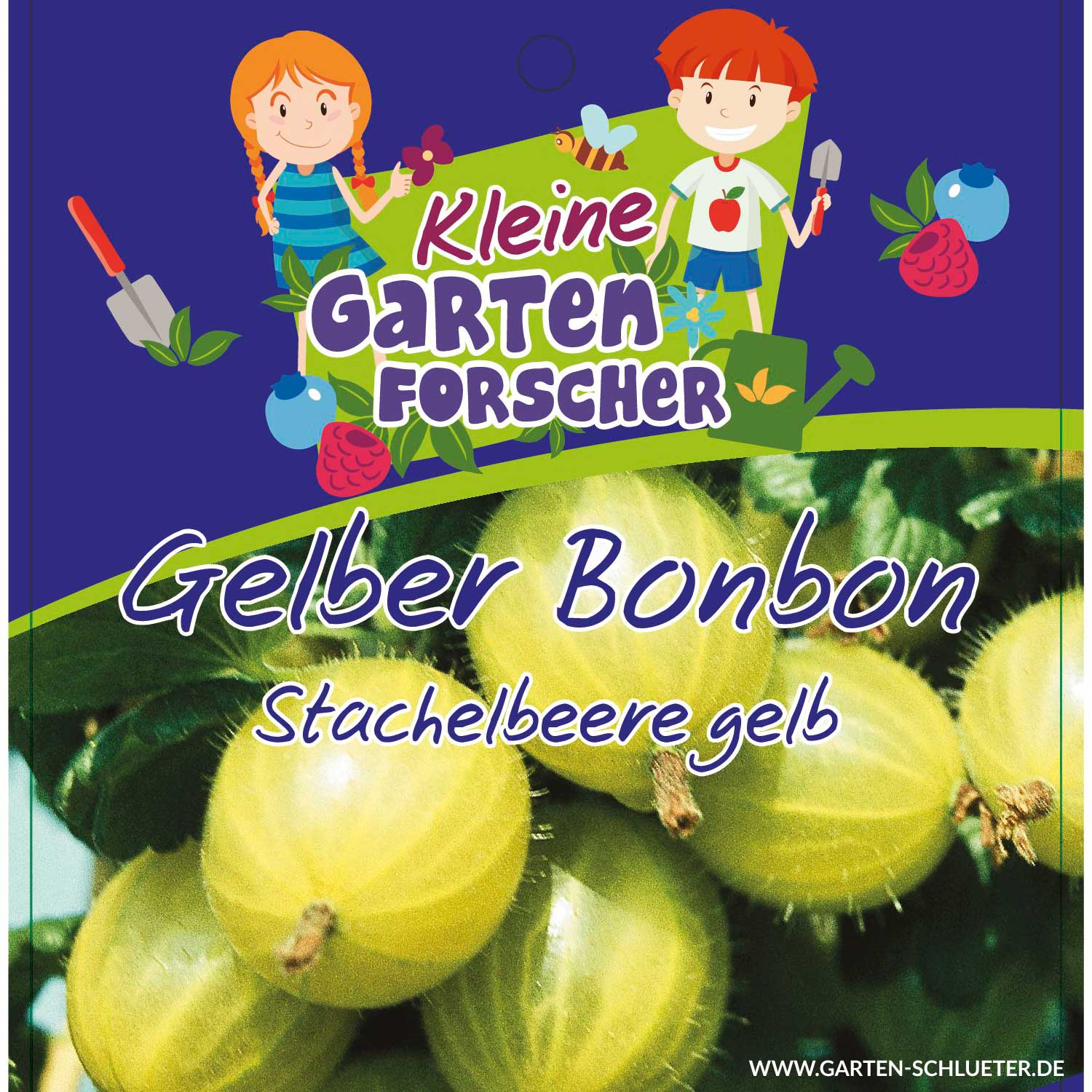 Gelbe Stachelbeere 'Gelber Bonbon'  - Kleine Gartenforscher