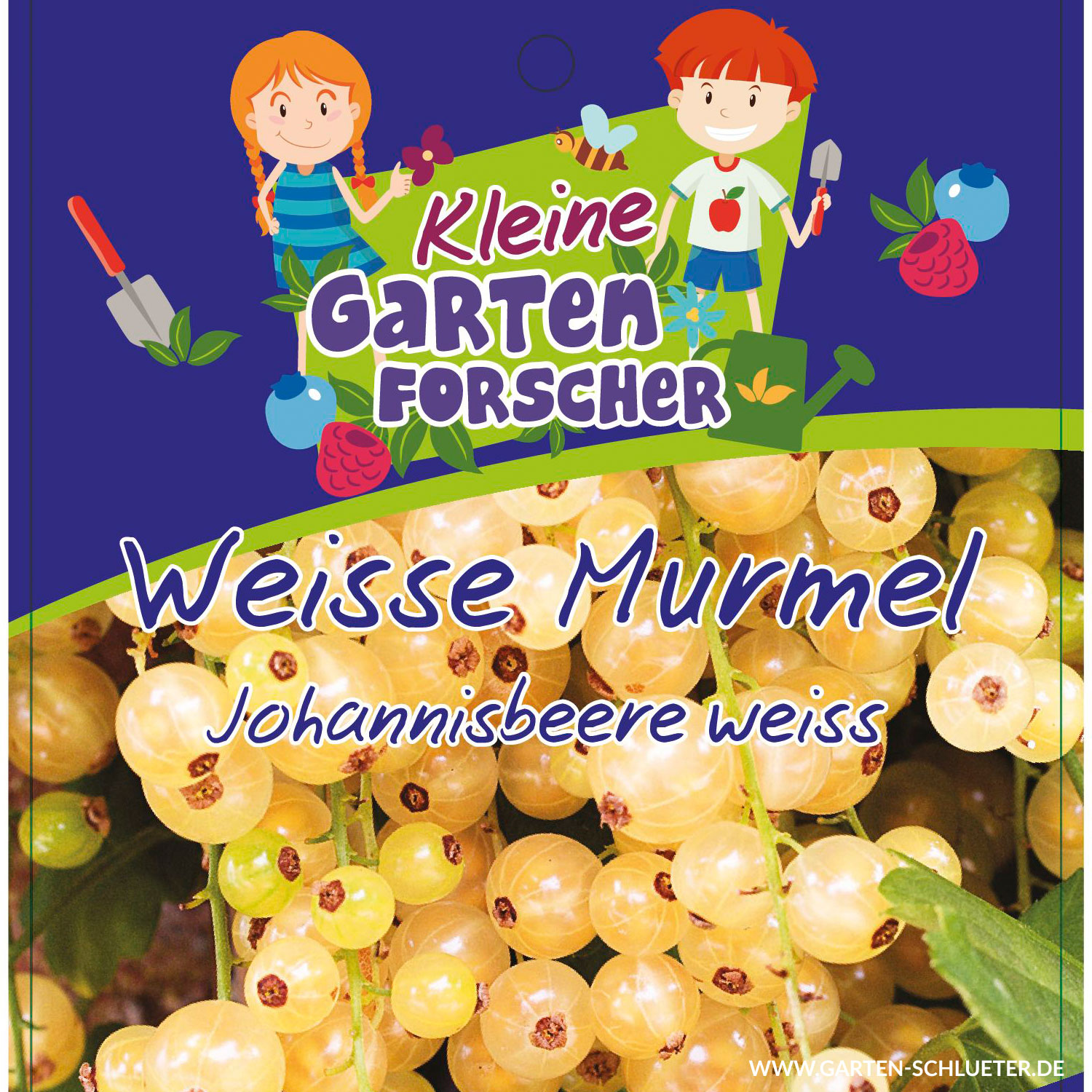 Weiße Johannisbeere 'Weiße Murmel'  - Kleine Gartenforscher