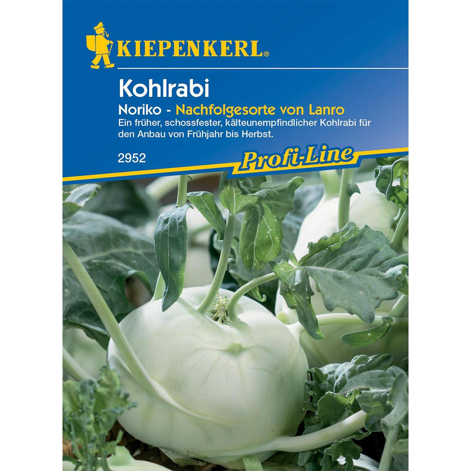 Kohlrabi 'Noriko'