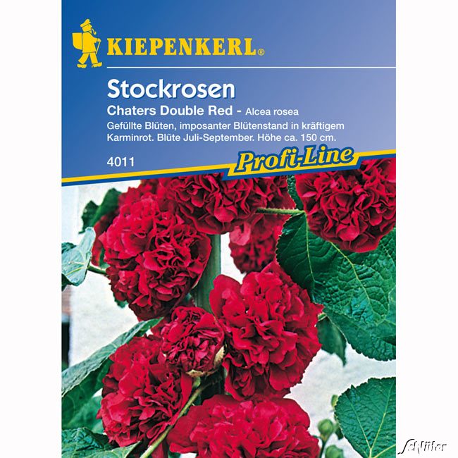 Stockrosen 'Chaters Double Red'