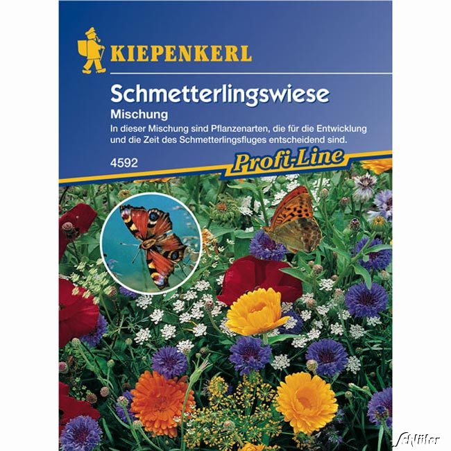 Schmetterlingswiese