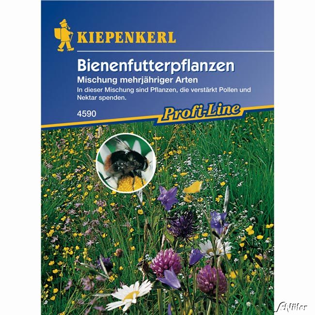 Bienenfutterpflanzen 'Mischung mehrjähriger Arten'