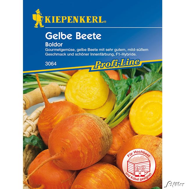 Gelbe Rote Beete 'Boldor F1'