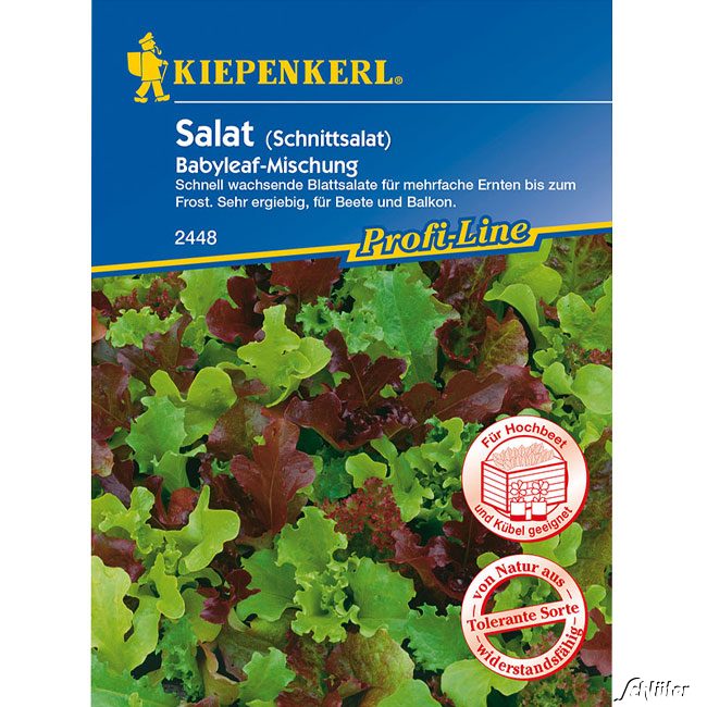 Schnittsalat 'Babyleaf-Mischung'