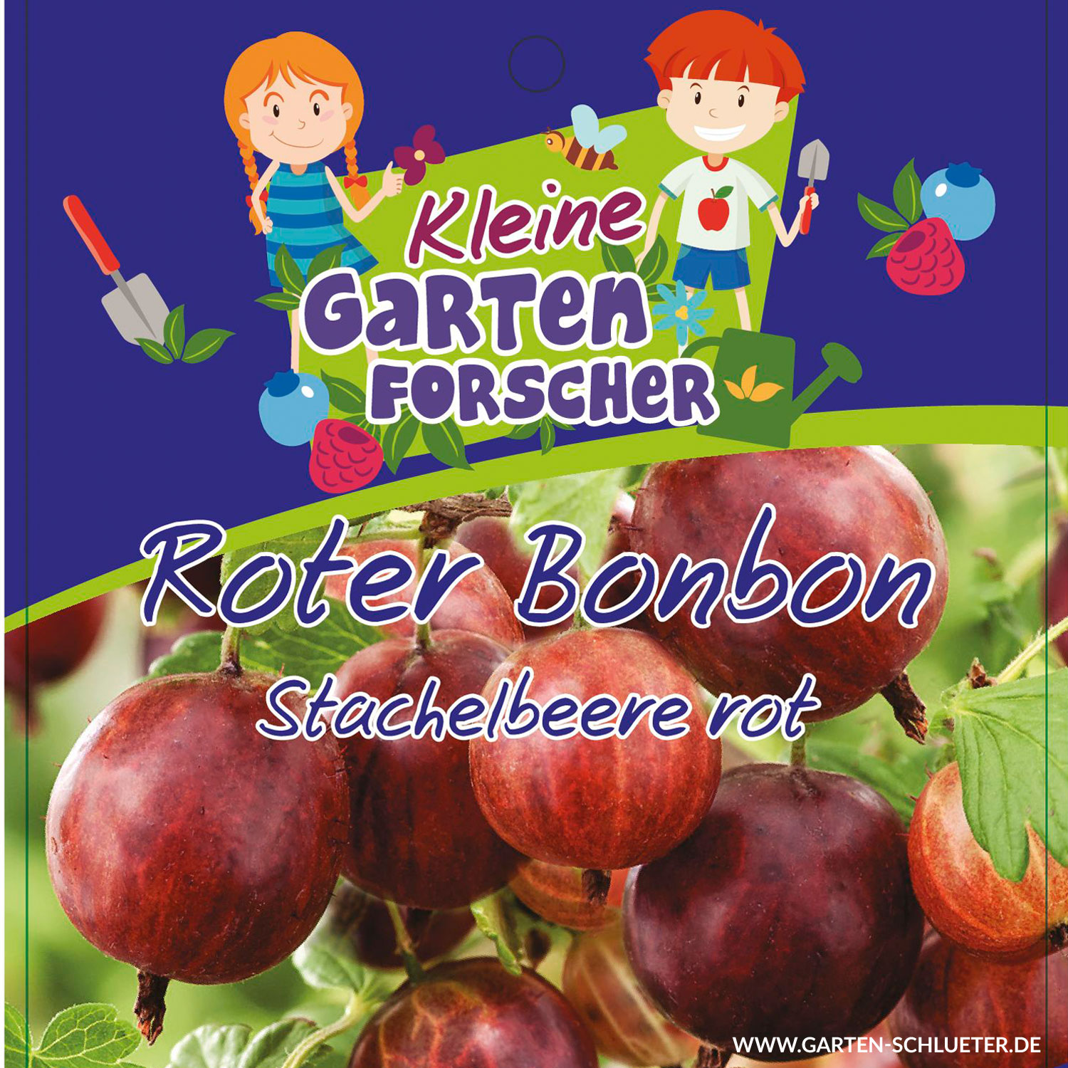 Rote Stachelbeere 'Roter Bonbon'  - Kleine Gartenforscher