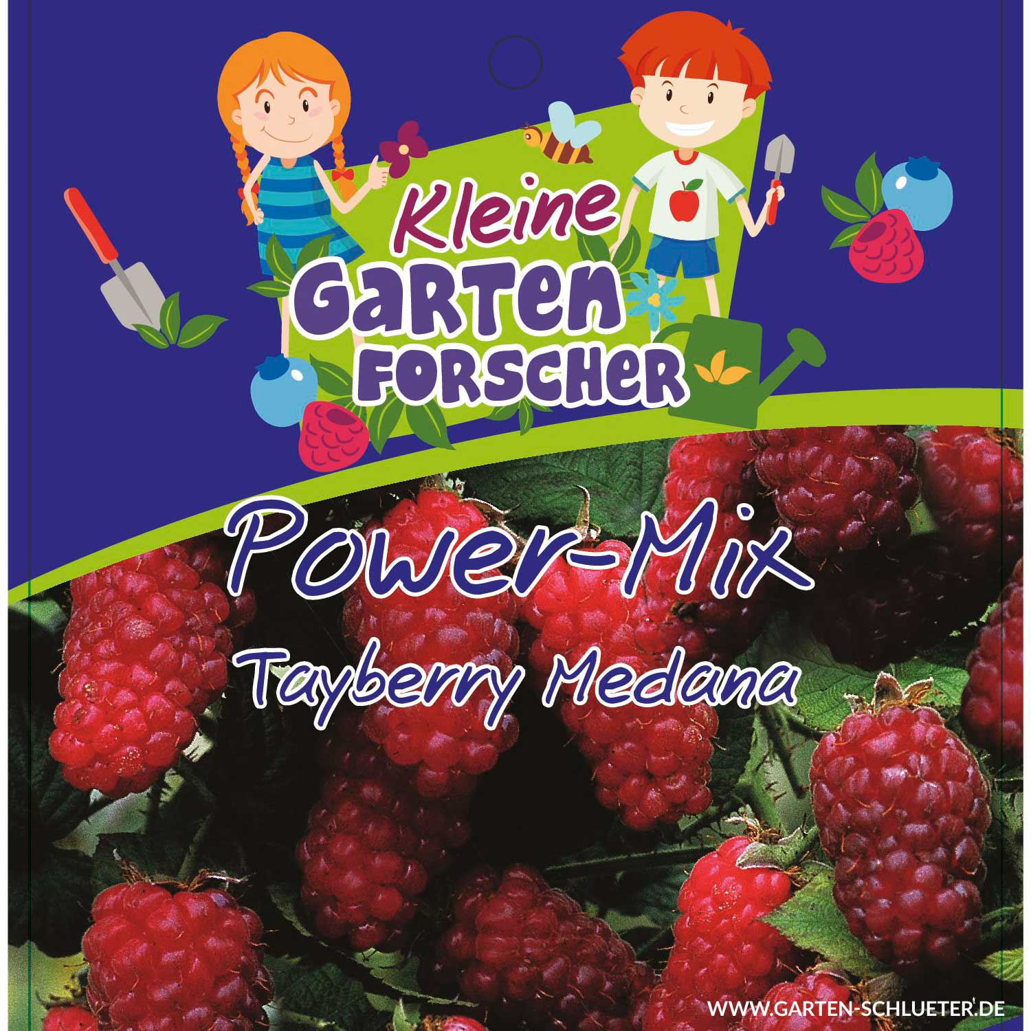 Tayberry Medana 'Power-Mix-Beere'   - Kleine Gartenforscher