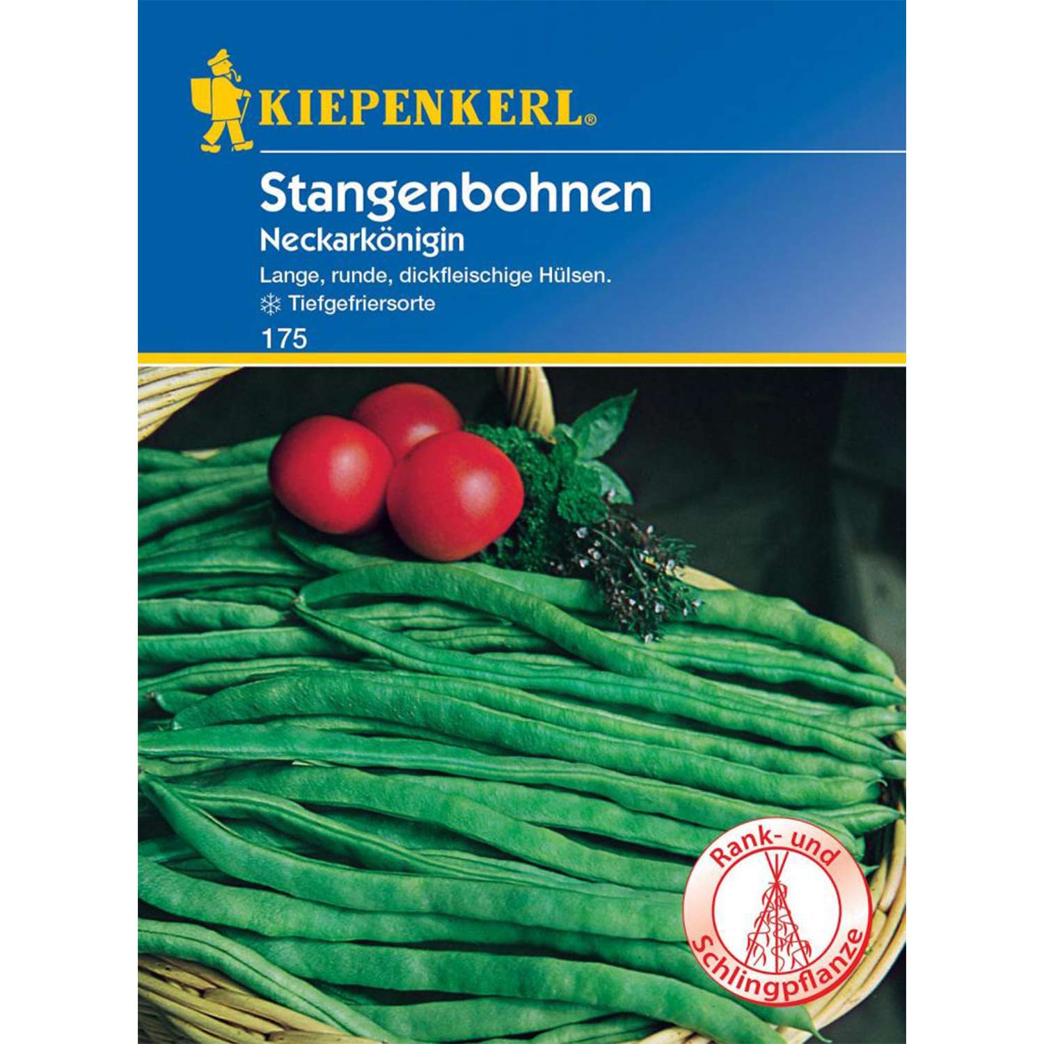 Stangenbohne 'Neckarkönigin'