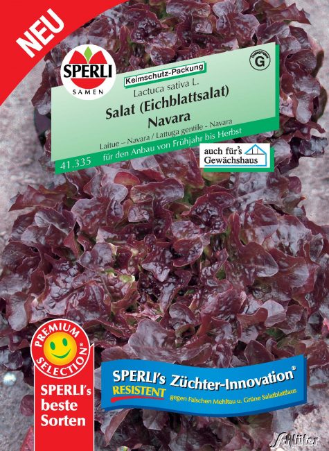 Salat (Eichblattsalat) Sperli´s Navara