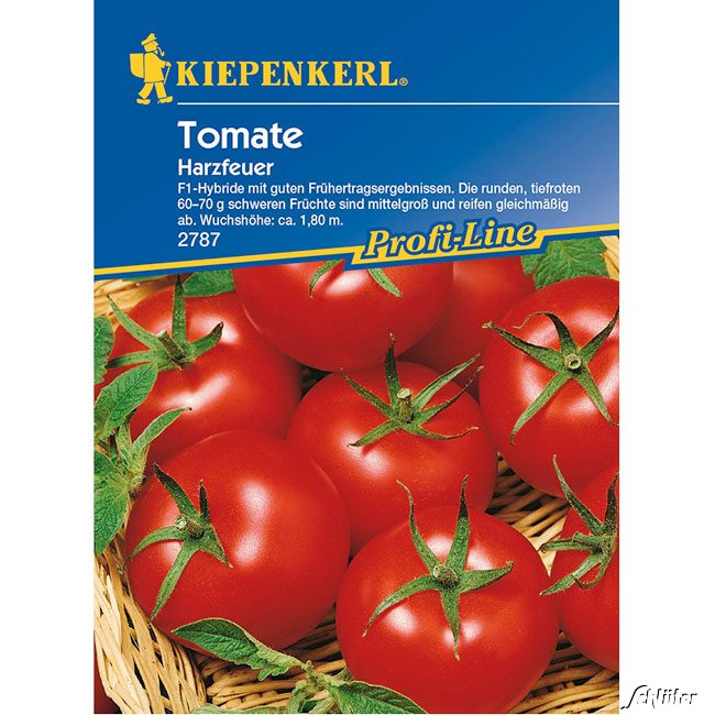 Tomate 'Harzfeuer F1'