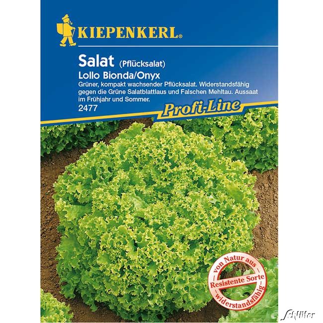 Pflücksalat 'Lollo Bionda'