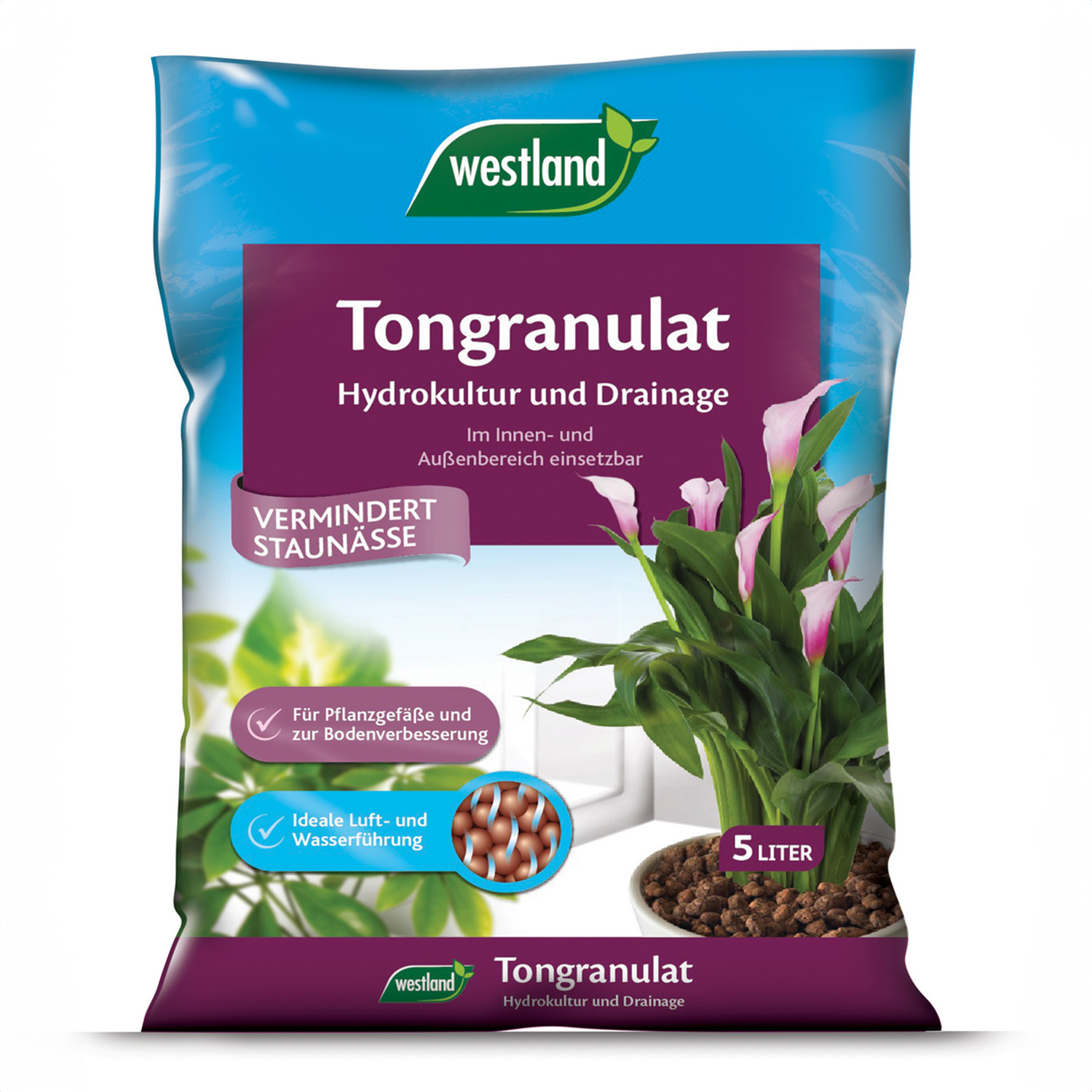 Westland Tongranulat