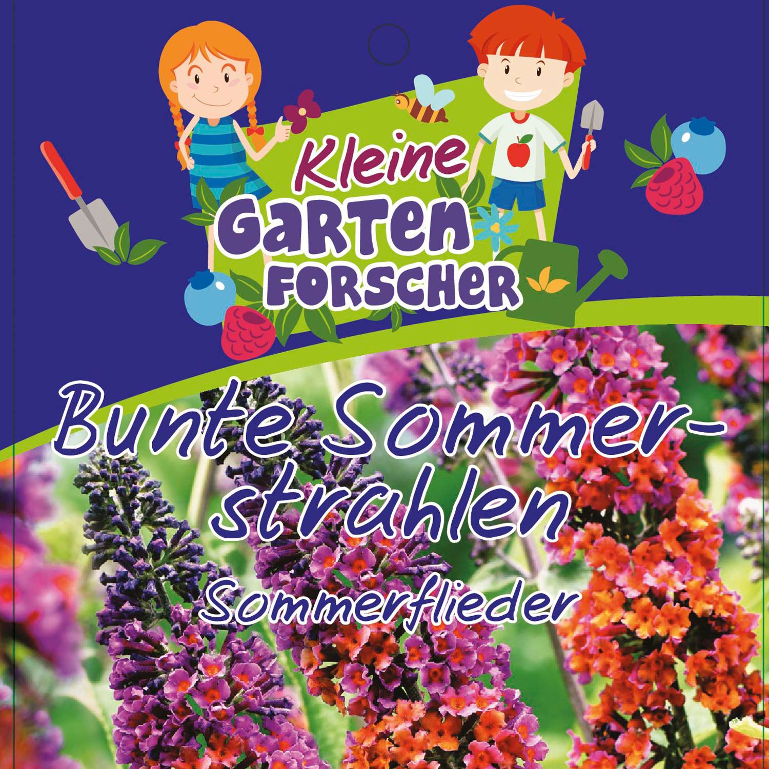 Sommerflieder 'Bunte Sommerstrahlen' Kleine Gartenforscher