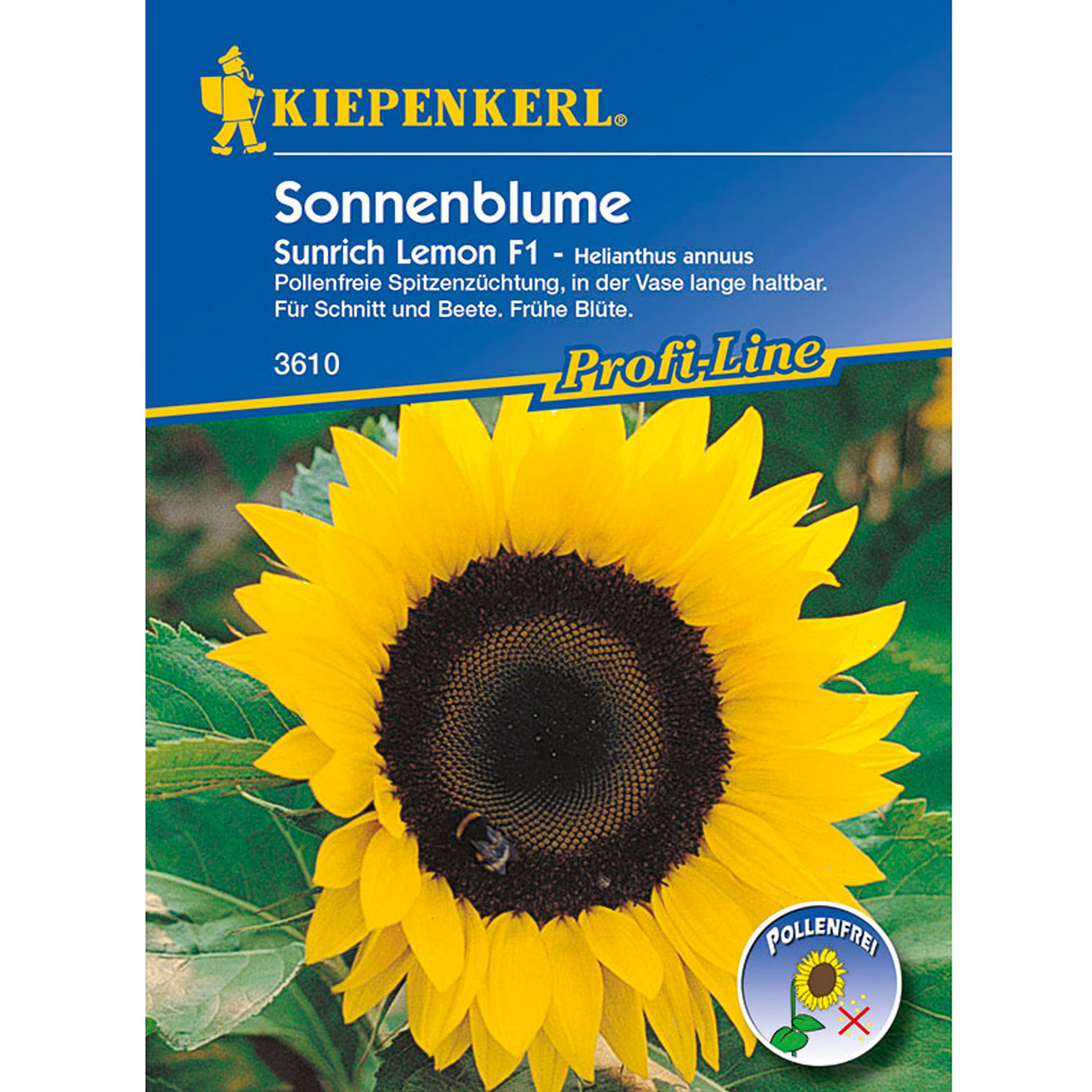 Sonnenblume 'Sunrich Lemon'