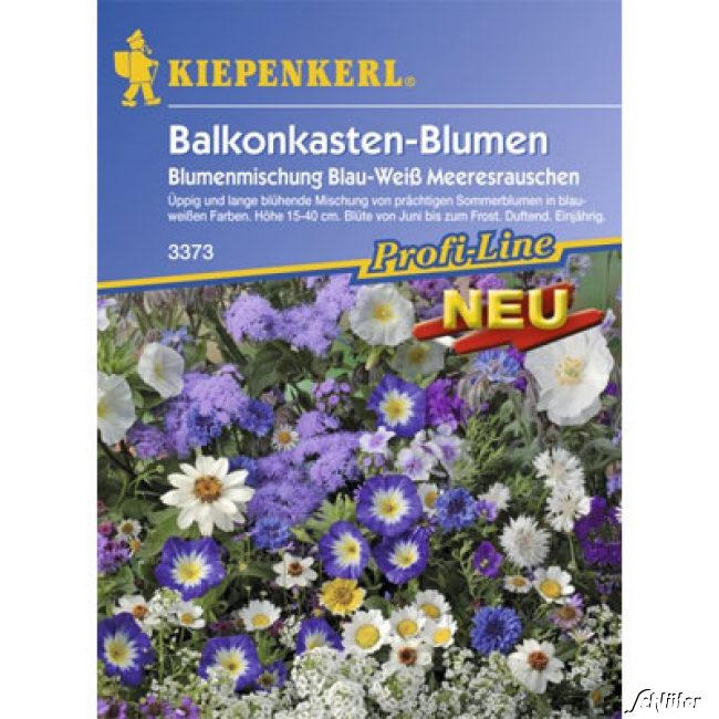 Balkonkasten-Blumenmischung 'Meeresrauschen'