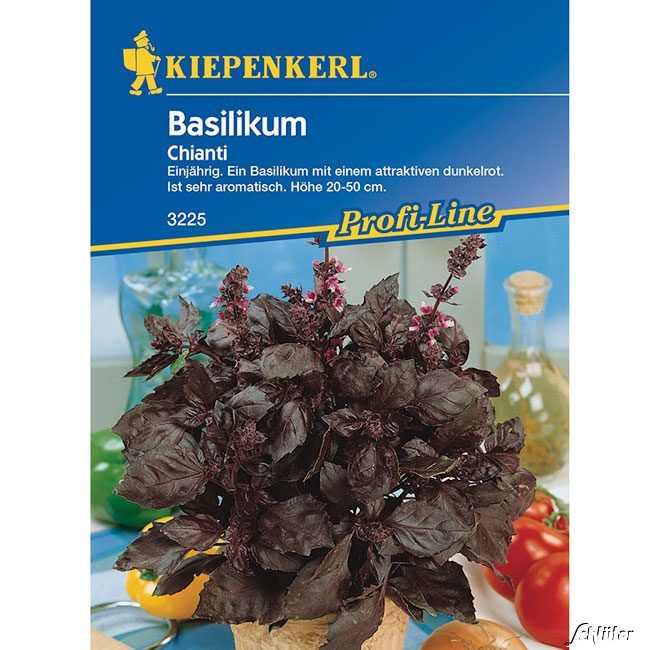 Kategorie <b>Kräuter-Samen </b> - Basilikum 'Chianti' - Ocimum basilicum