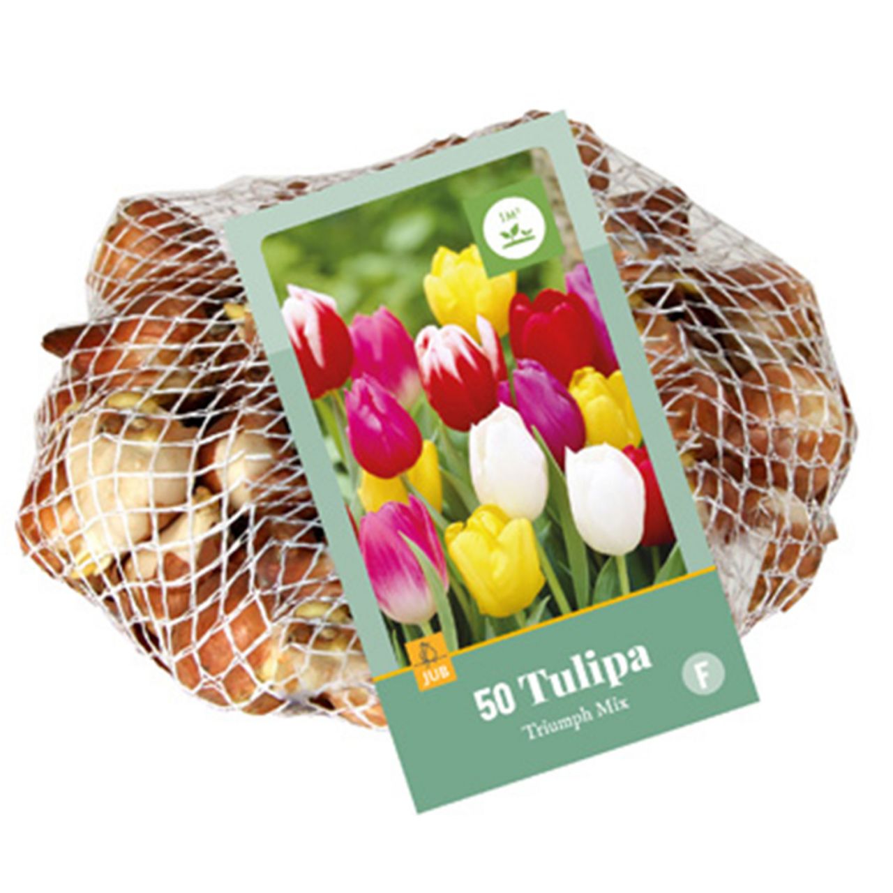 Kategorie <b>Herbst-Blumenzwiebeln </b> - Triumph-Tulpen Mischung - 40 Stück - Tulipa